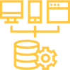 Data Management and Network Systems Icon
